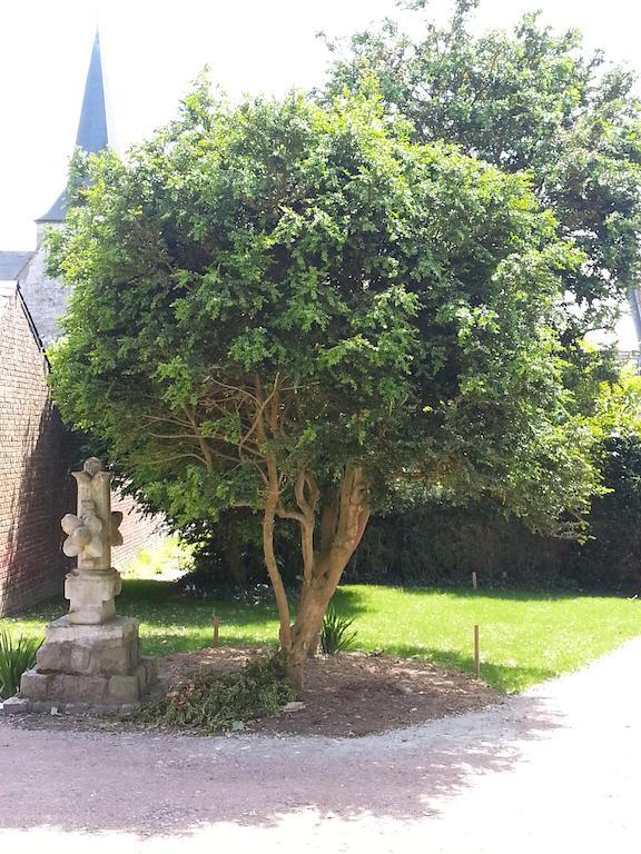 Les Loges D'Etretat Hotell Eksteriør bilde